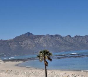 510 Odeon Towers - SeaView