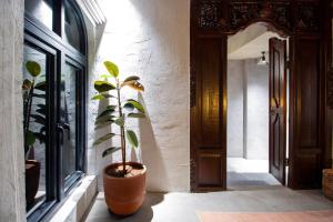 Chic industrial aesthetic loft