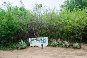 Leopard Nest in Yala