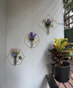 Luxury 1BHK Cozy Ambience Pool Full Kitchen