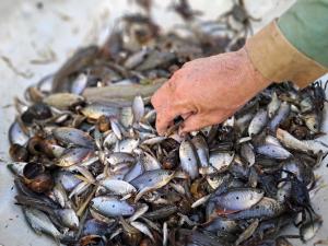 Hương Tràm Homestay