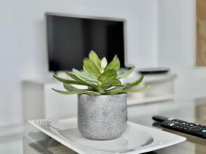 TAR11D - Estudio con Vistas al mar, Wifi, Smart TV, Fire Stick Amazon, en el Centro, a 600 metros Playa