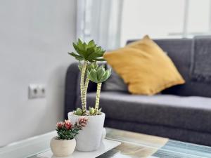 TAR11D - Estudio con Vistas al mar, Wifi, Smart TV, Fire Stick Amazon, en el Centro, a 600 metros Playa