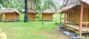 Bambu hut