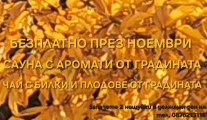 Galeria In The Garden