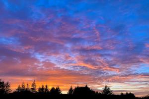 Shepherds hut 2 at Braebost Croft