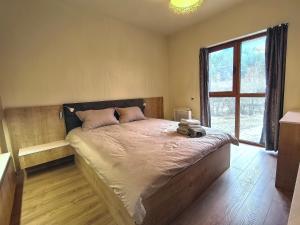 Woodsy views 1 bedroom apartment