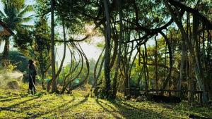 Latehouse bar Amphawa