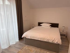 The View Apartment Bușteni