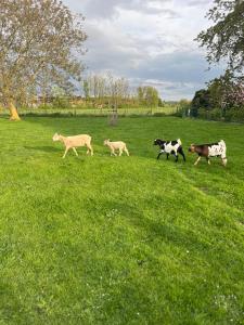 Chambre dhôtes Lucia avec vue sur jardin arboré