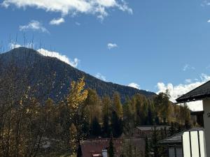 Excelsior Top 17 Alpenherz