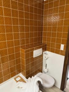 Excelsior Top 17 Alpenherz