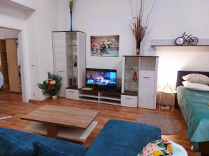 Apartment ČSA 2 Historic Downtown Hradec Králové