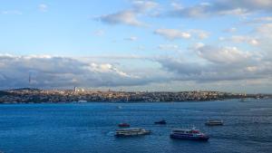 Bosphorus view-Airport shutle-High Speed WIFI-Private parking