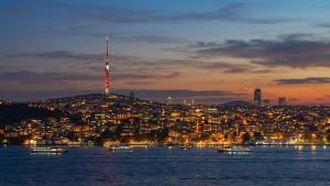 Bosphorus view-Airport shutle-High Speed WIFI-Private parking