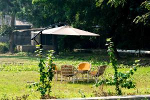 amã Stays & Trails- Anand Bhawan Palace, Tirwa, Kannauj