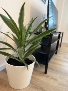 Stadtwohnung in Siegen-Zentrum