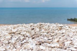 Lenham House by Keepers Cottages