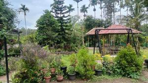 Manna Homestay coorg