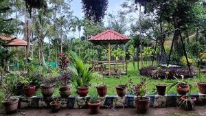 Manna Homestay coorg