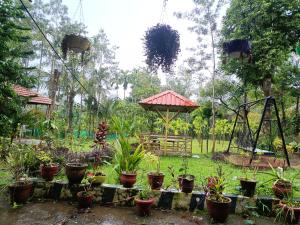 Manna Homestay coorg