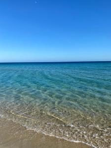 Magnifique appartement de 2pieces centre ville à 200m de la plage