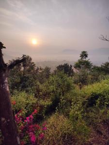 The Camphor Villa - Farmers Deck
