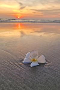 Modern Condo Long Stay