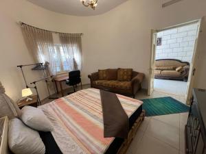 Locations Amman Palm Tree 4