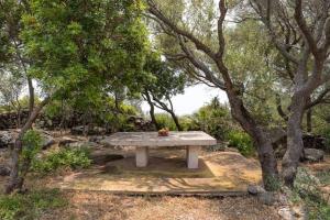 Villa Acquamarina img25