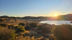 Izinga Game Karoo Guest Farm