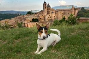 Green B&B Urbino Cá del vento