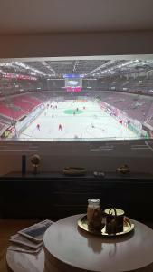 Cozy apartment in Zurich Seefeld