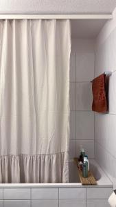 Cozy apartment in Zurich Seefeld