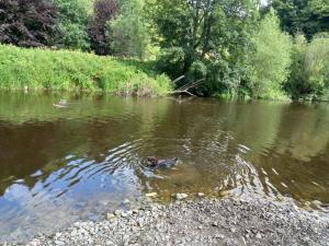 The HIVE on the river bank
