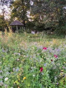 Gîtes à la ferme idéal en couple, famille ou amis