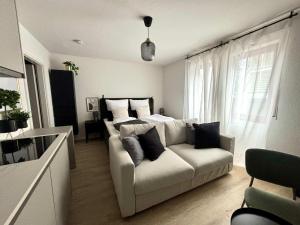 Beautiful Renovated Apartment in Lorrach