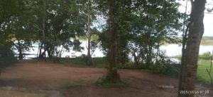 Lagoon Birds - Tangalle