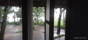 Lagoon Birds - Tangalle