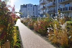 Osiedle złota reneta