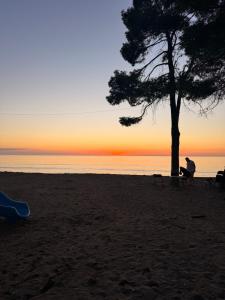 Shengjin apartaments leon