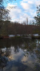 La tête dans les étoiles