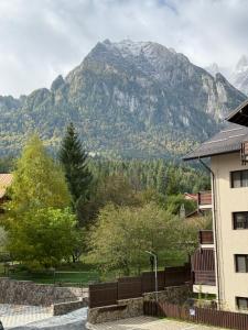 The View Apartment 4 Busteni