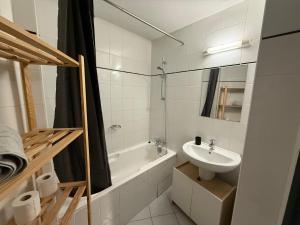 2 Appartements à 300 m des pistes