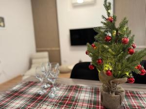 Central Boutique Apartment