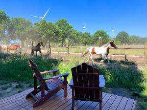 Liberty Lodge X by Tiny Away