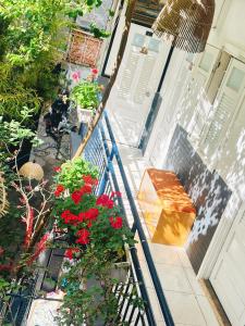 Suris House Homestay