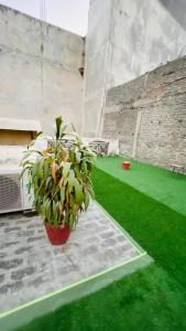 Gavari Indias Delhi Hostel