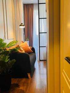 Central Comfort Studio