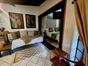 Hello Sunshine Self Catering Studio Apartments